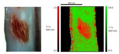 Lichtmikroskopisches Bild und Überlagerung der Sau-erstoff- bzw. Kohlenstoffverteilungsbilder im Bereich der optisch erkennbaren Verfärbung
